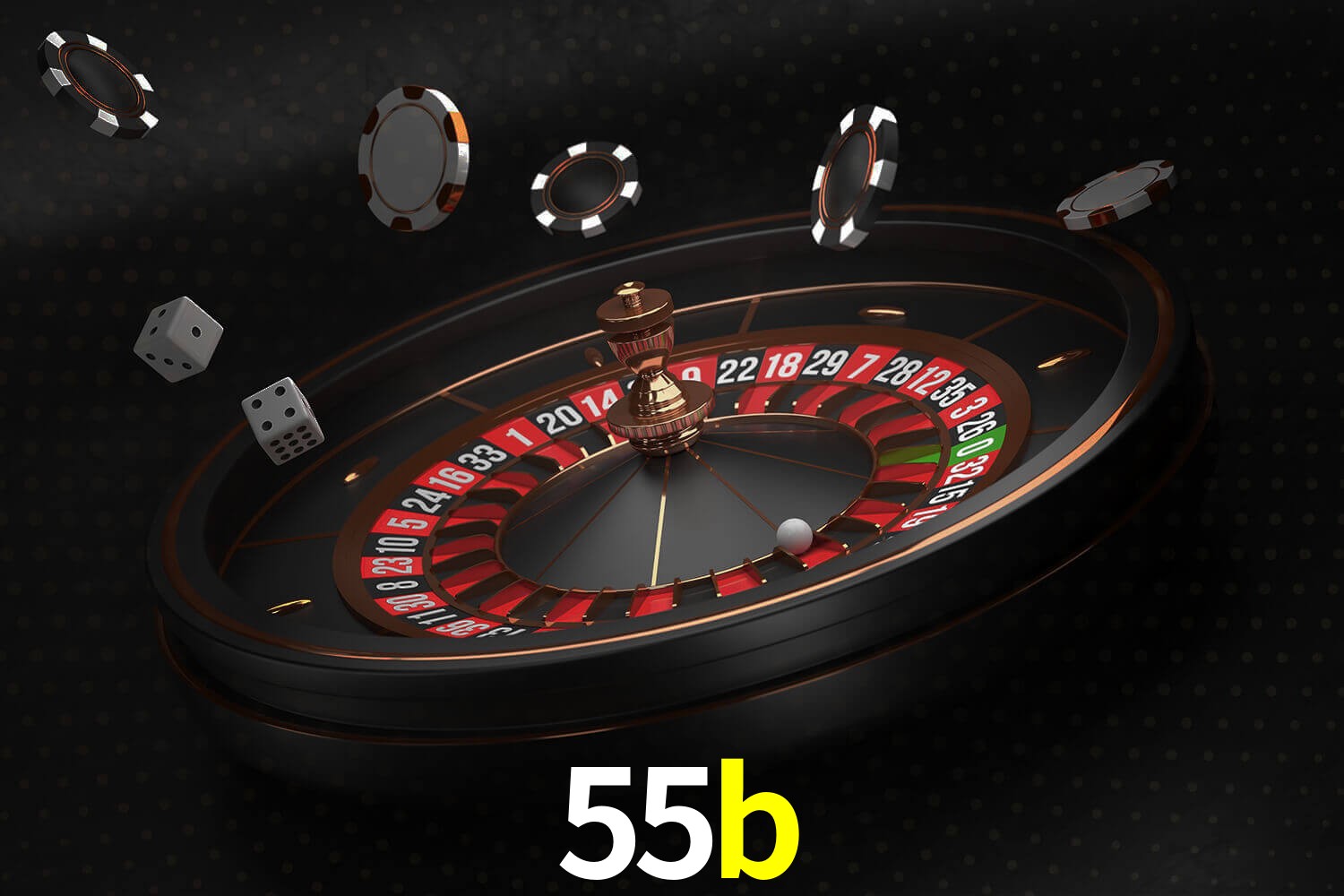 55b,55b.com