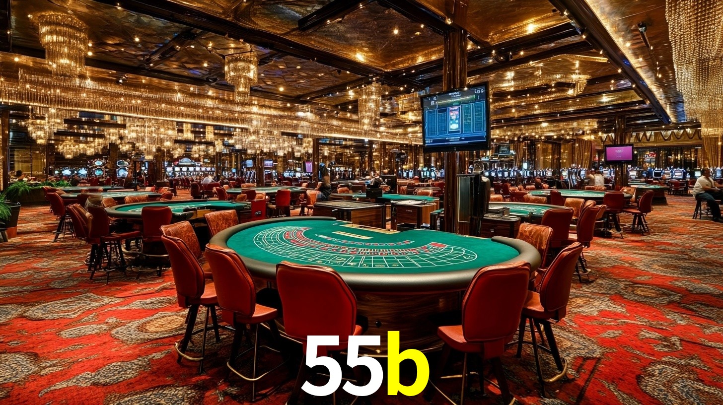 55b.com